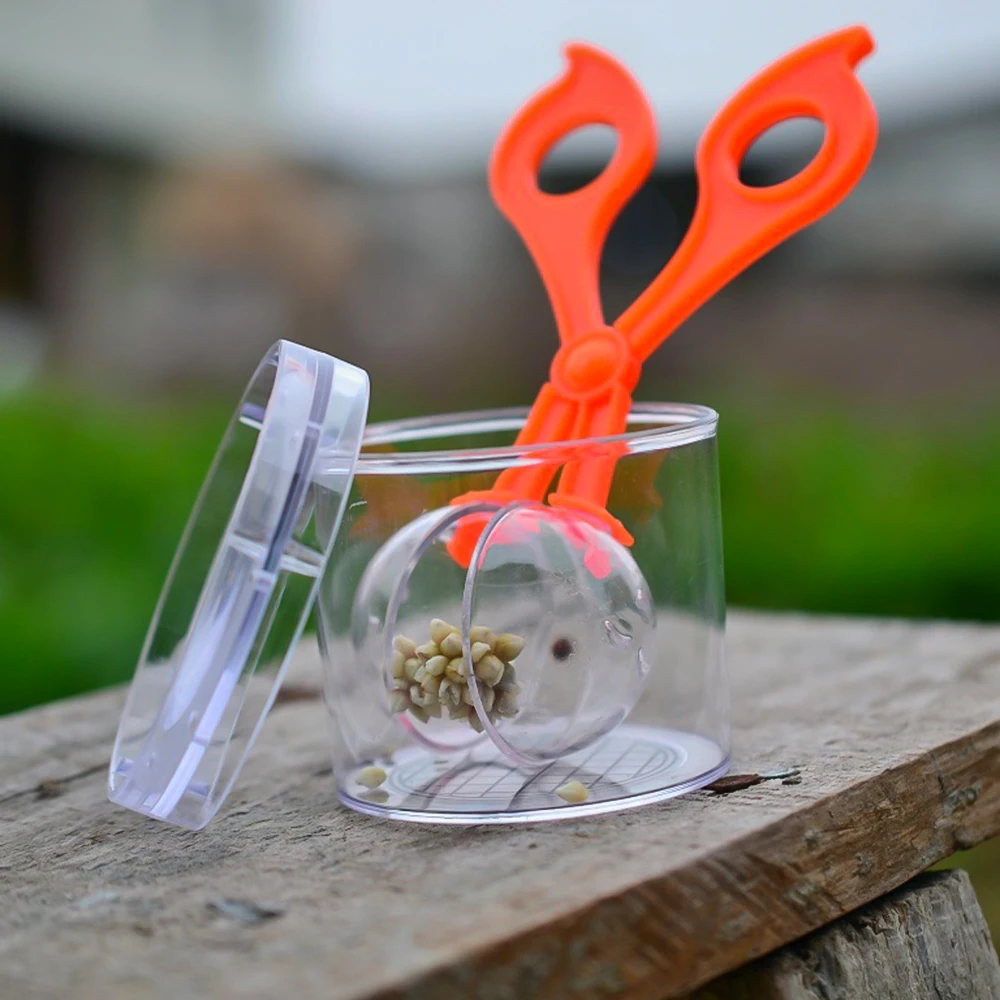 Outdoor Toys Plant Insect Biology Study Tool Set Plastic Scissor Clamp Tweezer Cute Nature Exploration Toy For Children | Игрушки и