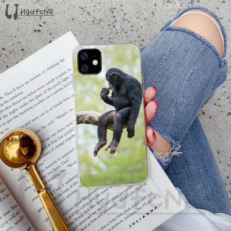 Monkey Gorilla Ape Baby Drawing