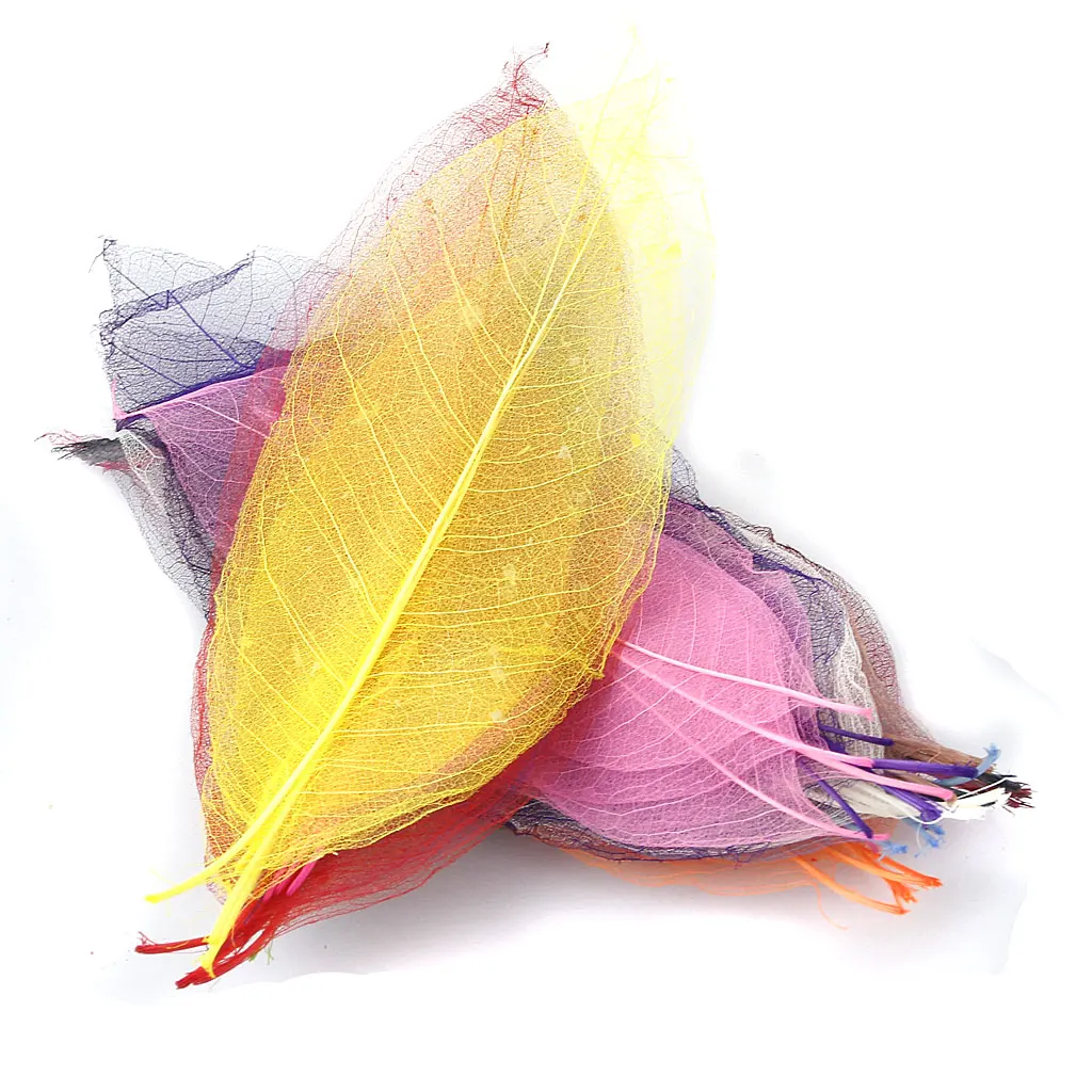50pcs Natural SKELETON LEAVES Colored SCRAPBOOK Craft Embellishment Bookmark