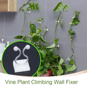 

100PCS Garden Vegetable Plant Support Binding Clip Vine Plant Climbing Wall Fixer Non-marking Self-adhesive Hook S/M/L