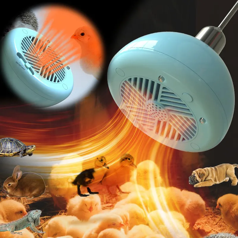 How Long Should You Keep A Heat Lamp On Puppies