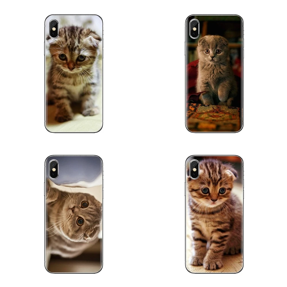 Шотландская кошка Felis catus Шотландия для sony Xperia Z (Сони Иксперия З) Z1 Z2 Z3 Z5 компактный