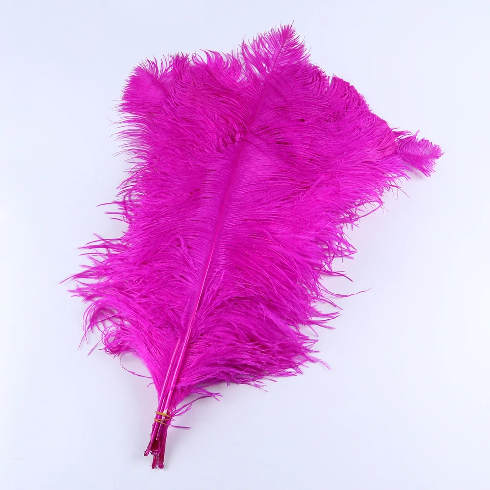 TS0160004 60-65cm ostrich feathers 2