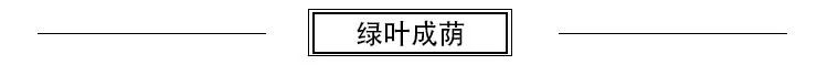 New Style Flax Minimalist Modern Chinese-style Table Runner Table Bar Teapoy Table Flag Placemat Table Runner Customizable a Gen