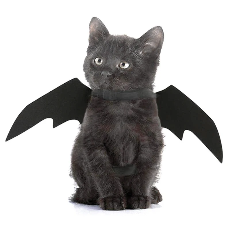 Hollween Костюм для домашних животных крылья летучей мыши черное крутое нарядное платье статуэтки котов для собак регулируемые кошачьи крылья для украшения для домашних животных Товары для домашних животных