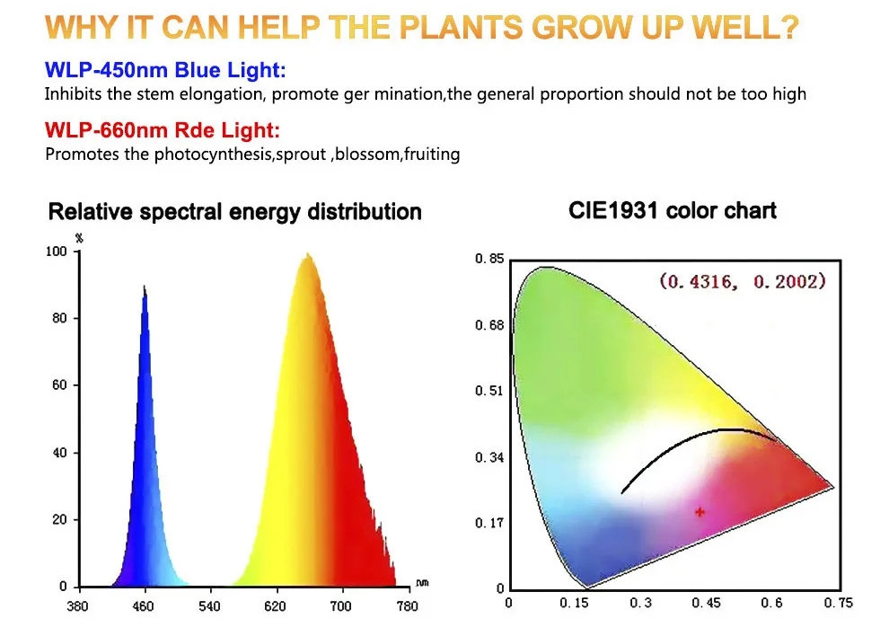 40W 60W 80W LED Grow Light Full Spectrum USB Phyto Lamp With 3 Modes Timing Function For Indoor Flowers Plants Growth Lighting