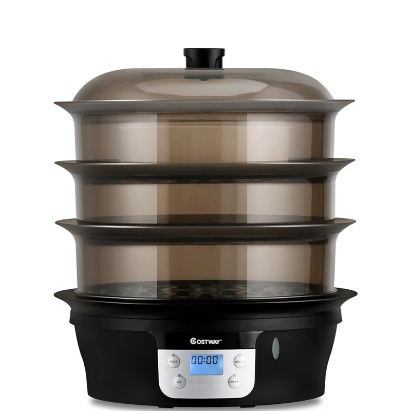 costway steamer