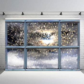 

Winter Window Snow Fantasy Polka Dots Light Bokeh Party Baby Scenic Photo Background Photography Backdrop Photo Studio