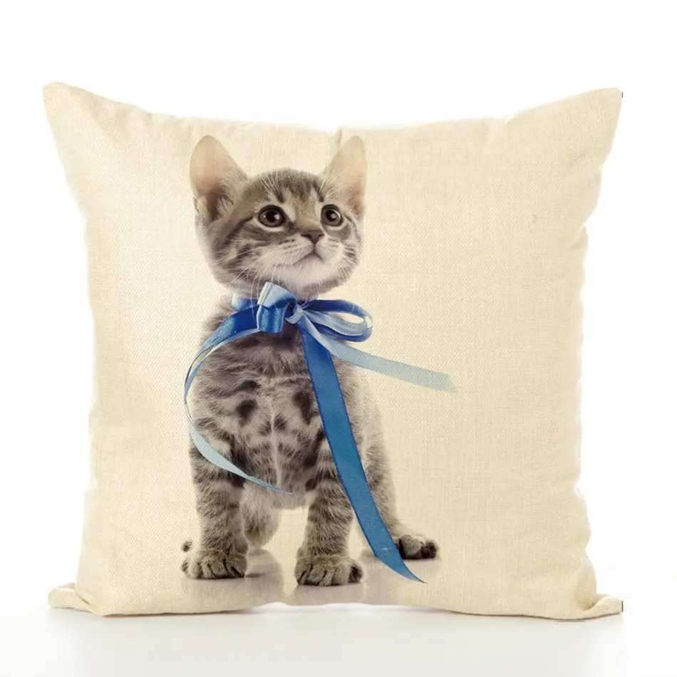 7390645998_941492023