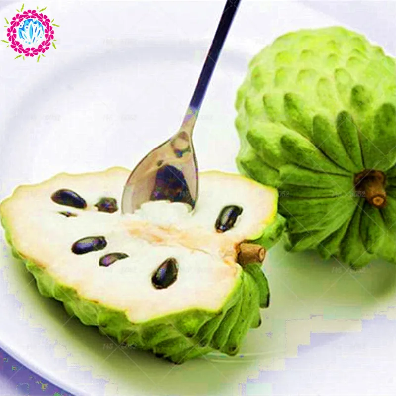 10 шт./пакет Sweetsop бонсай фруктовое дерево тропический сахар-apple Фрукты многолетние Annona сквамоза горшочные растения для дома садовые растения