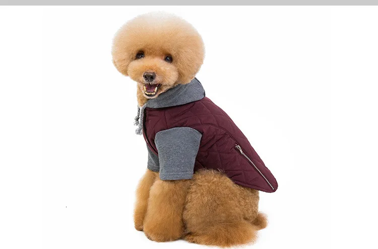 Pets Clothes Bring Hat Cotton-padded Clothes Rhombus Dog Cotton-padded Jacket Two Salad Chain Decoration Gogo Clothes Increase