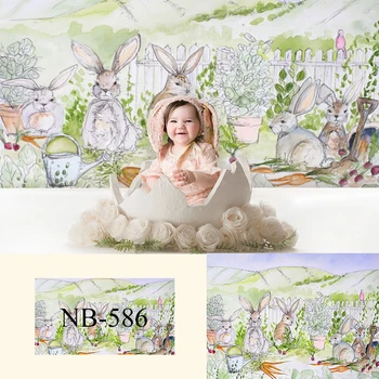 

Newborn Portrait Photography Backdrop Rabbit with Carrot Painting Background Easter Photo Studio Prop