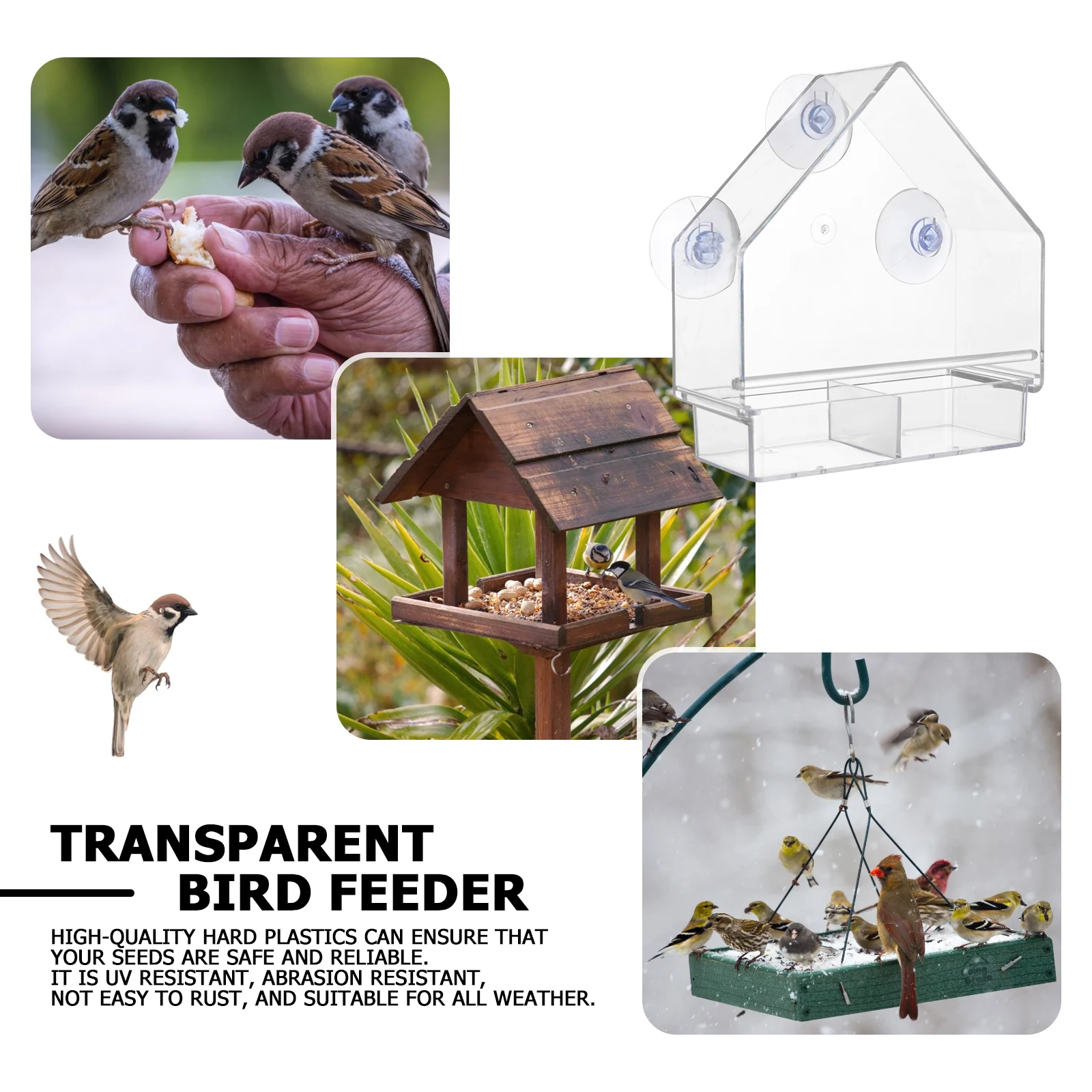 Lifreer Mangeoire à oiseaux avec ventouses puissantes en plastique  transparent pour jardin et extérieur : : Jardin