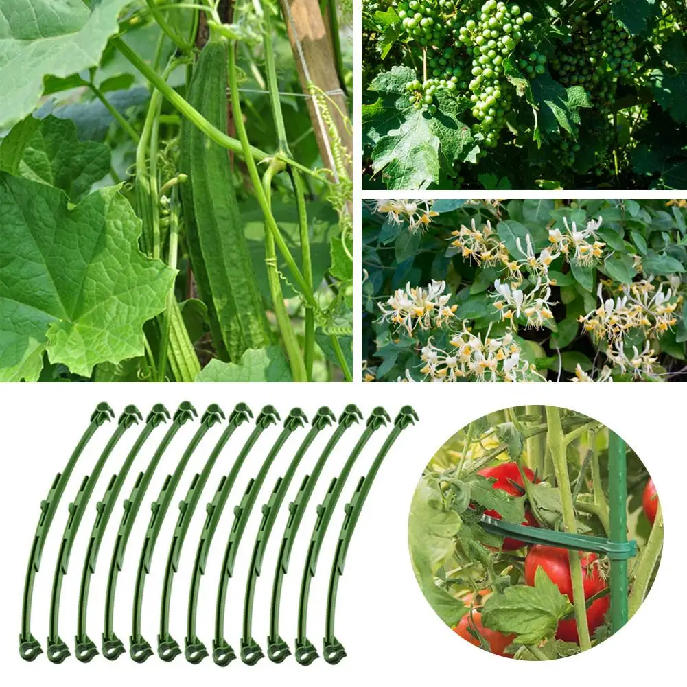 

12PCS Tomato Trellis Stake Arm Expandable Trellis Connector Reusable Garden Plant Frame Mesh Connect Tool Vine Rack Tied Buckle