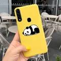 Case-c29