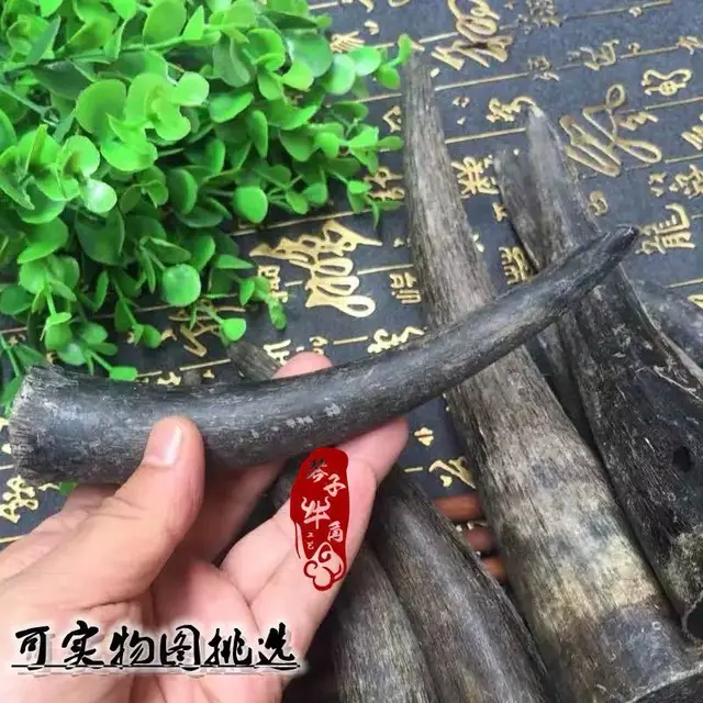 1Pc Természetes Fekete Bivaly Kürt Nyersanyag Fogantyú Szilárd Tömítés Anyag Konyhai Kés Kézvédő - Image 3