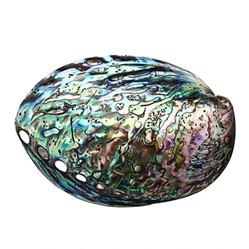 

10-12cm Large Rainbow Abalone Shell Charm Beach Seashell Car Office House Decor