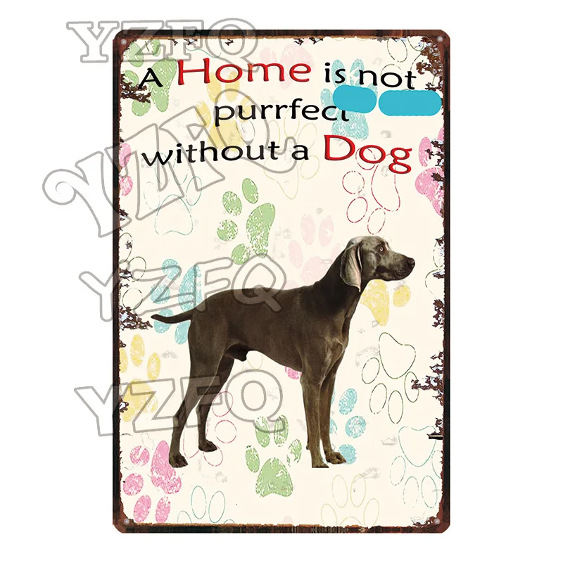 Warning Beware Attack Cat Watch Dog on Duty Pet Metal Plate Wall Pub Restaurant Home Art Decor Iron Poster Cuadros DC-5483A - Цвет: DC-5486