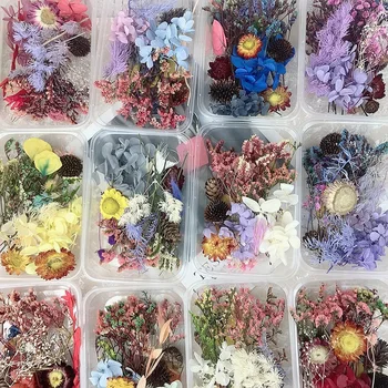 

1 Box Real Dried Flower Dry Plants for Aromatherapy Candle Epoxy Resin Pendant Necklace Jewelry Making Craft DIY Accessories