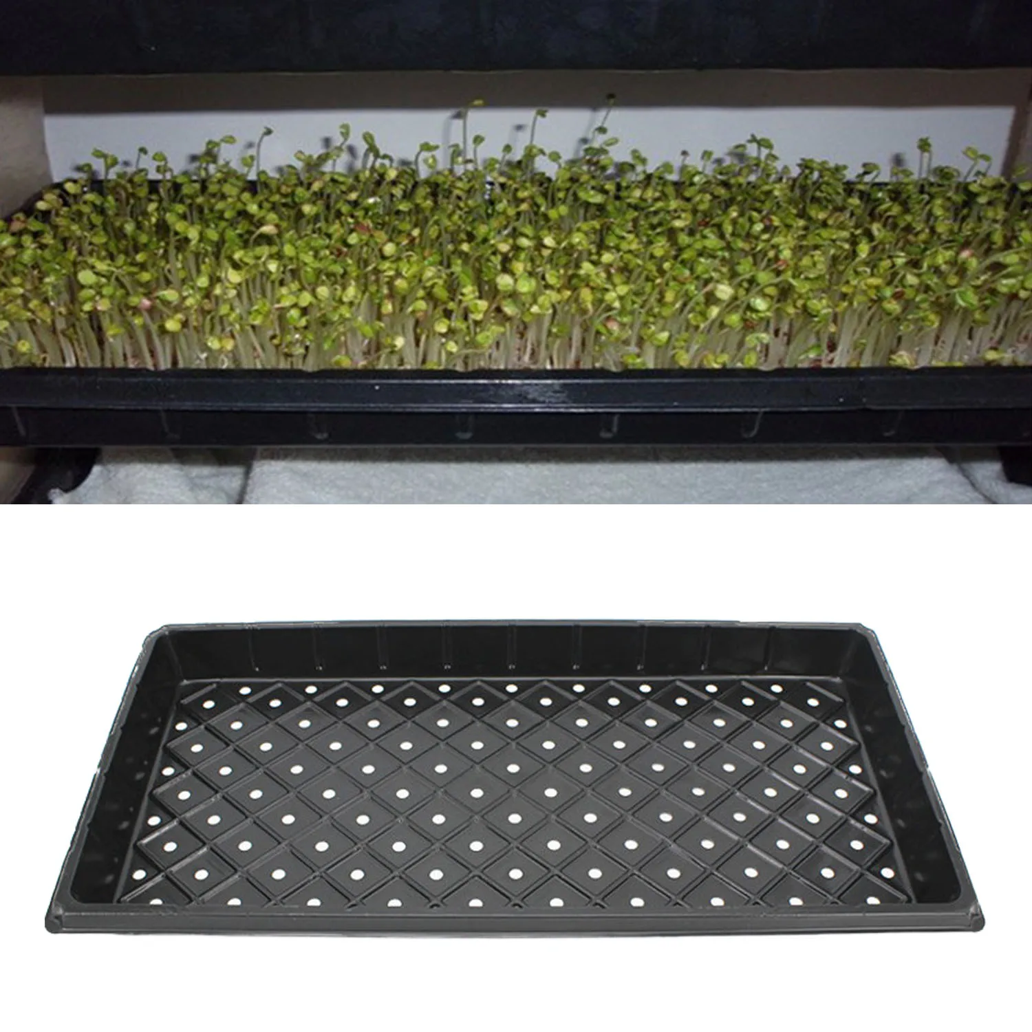 Многоразовые лотки для выращивания саженцев овощей и растений 54x28x5 см 2