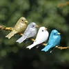 12pcs Mini Simulation Birds 5.2cm Powder Foam Birds Figure Miniature Party Wedding Home Garden Christmas Tree Decoration Cheap ► Photo 2/6