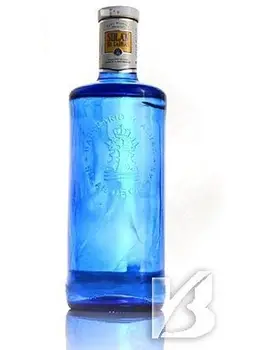 

Solan de Cabras still 1 Liter Glasflasche blau