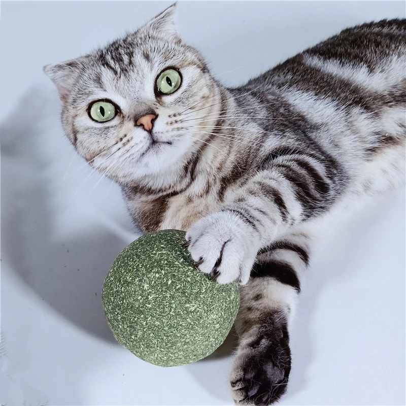 3 шт./партия игрушки для кошек Catnip вращающийся мячик для кошек здоровое угощение мята для кошек игрушечная кошка продукты настенное крепление чистые зубы игрушки