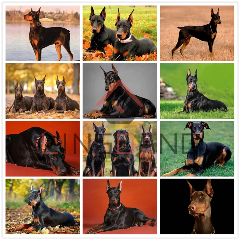 5D DIY Diamond Painting Full Square Round Drill Dog Doberman Fierce Embroidery Animal Cross Stitch Mosaic Kit Decor Gift | Дом и сад