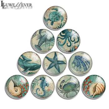 

12mm 14mm 16mm 20mm 25mm 30mm 592 Ocean Mix Round Glass Cabochon Jewelry Finding 18mm Snap Button Charm Bracelet