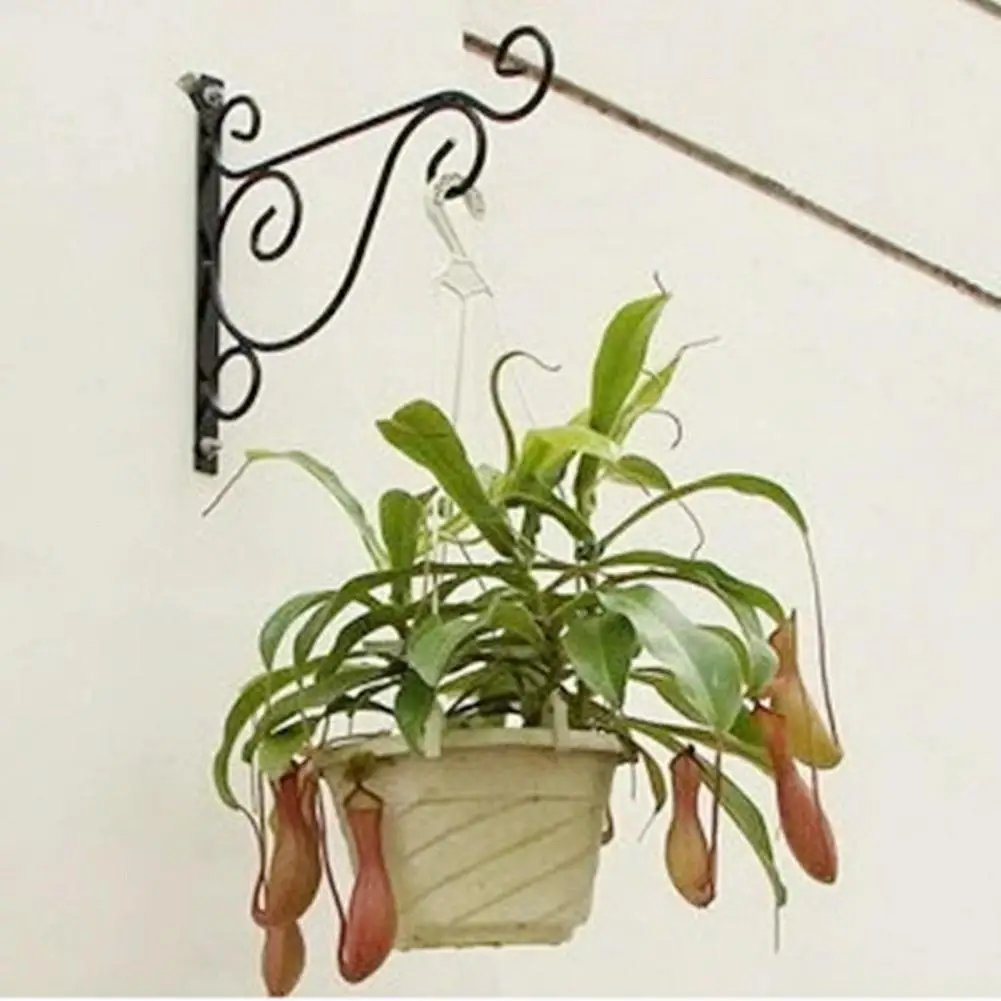 

Wall-mounted Wrought Iron Hook Hanging Basket Support Plant Flower Pots Decorative Shelf Balcony Garden Art Crafts