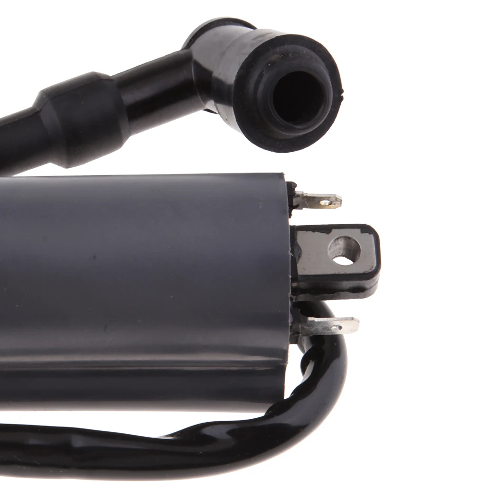 High Performance Motorcycle Ignition Coil for Buyang Feishen Linhai 260 260cc 300cc D300 G300 ATV