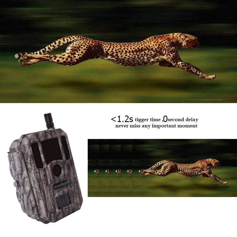 Bolyguard охотничьи ловушки для фотоаппаратов 4G gps 36PM 1080P охотничья Ловушка с ночным видением дикая Trail камера для диких животных chasse