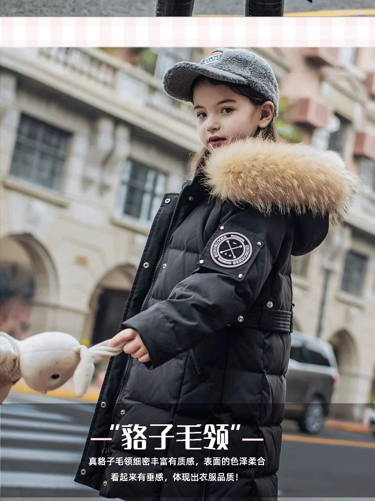 9815模板_02_副本