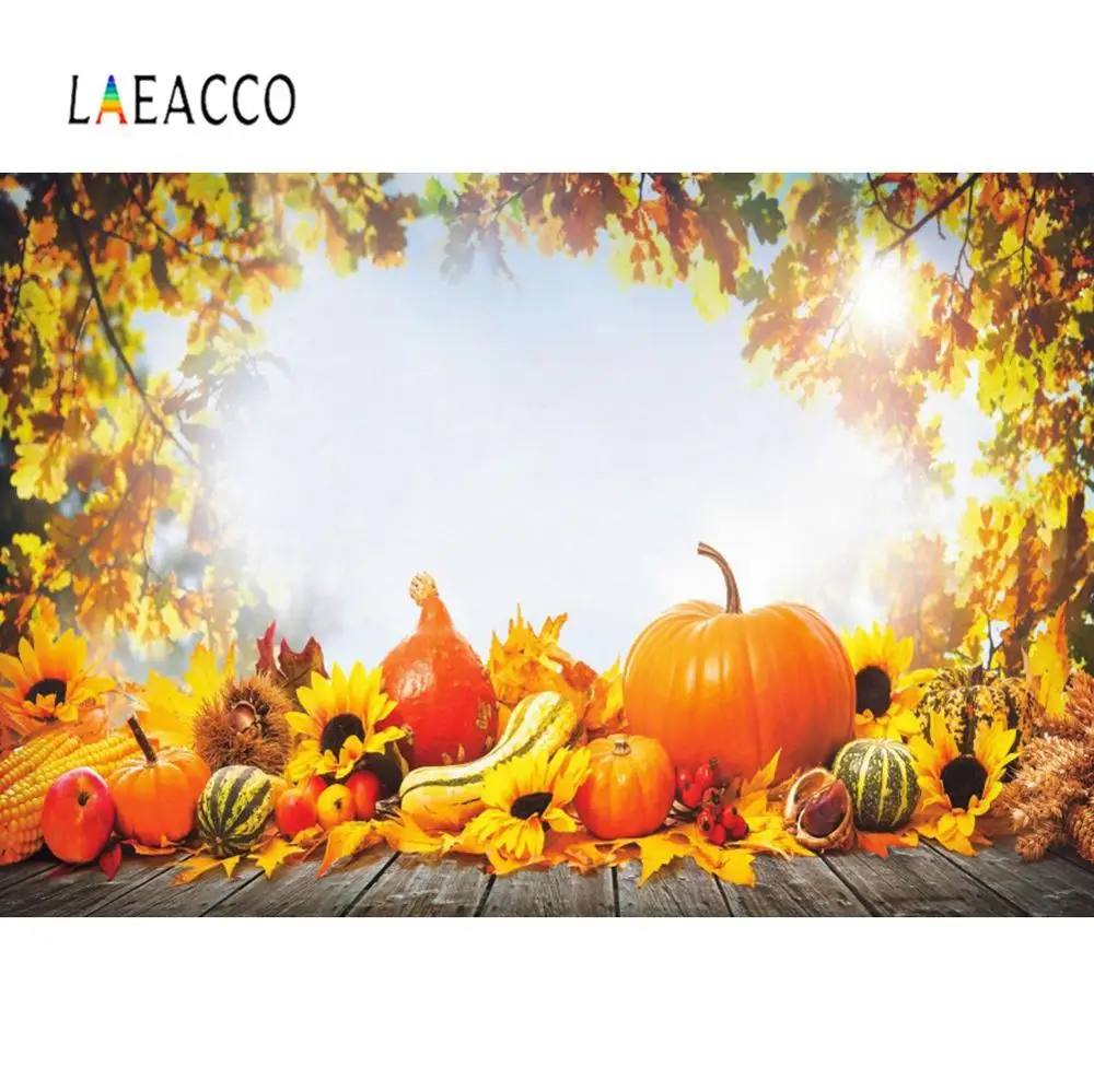 Laeacco осенний фон фотография желтый клен Урожай сезон Кукуруза Подсолнух Тыква