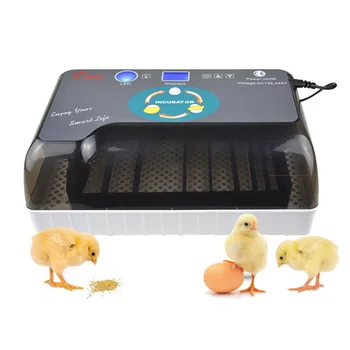 

Full Automatic Incubator Brooder Farm Hatchery Machine 12 Egg Hatcher Chicken Automatic Egg Incubator Goose Quail Bird Brooder