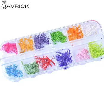

12 Colors Natural Coral Tree Pressed Dried Flower Nail Art Resin Jewelry Making