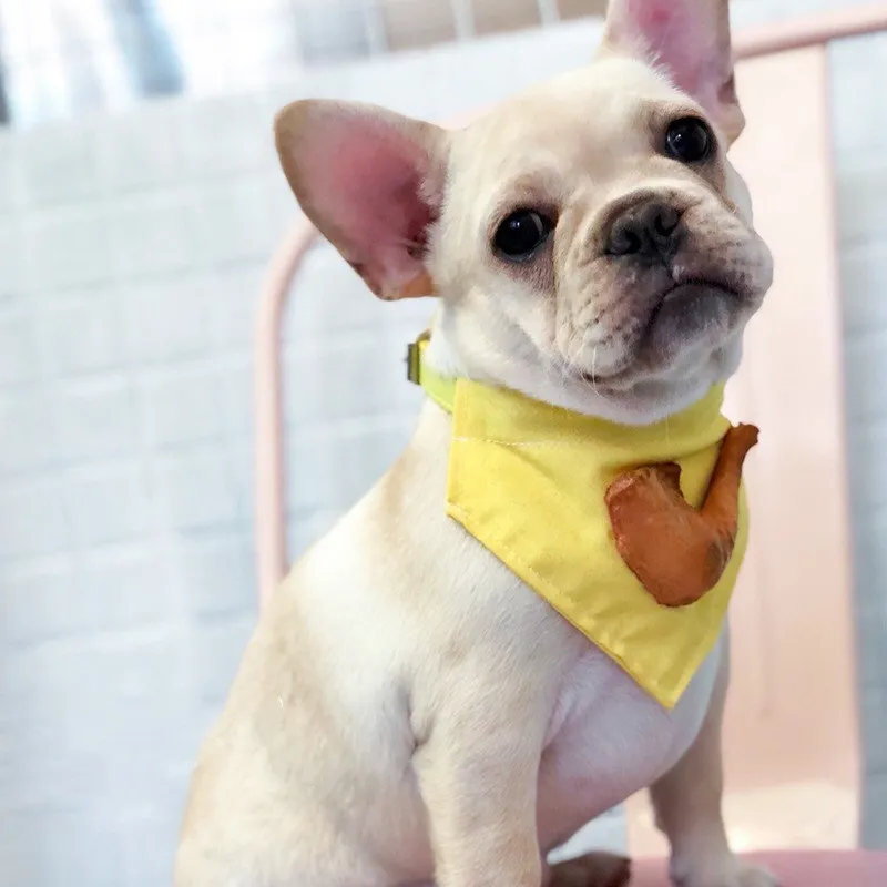 French Bulldog Cute Adjustable 3D Neck Scarf Tie Bowtie Necktie Bandana Collar Neckerchief for Dogs Puppy Pet Dog Leading GZL02