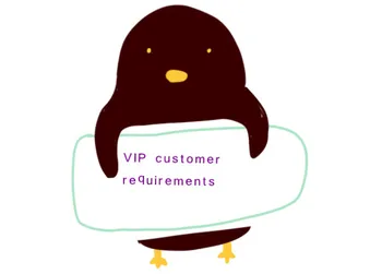 

VIP customer design Special requires Top quality genuine leather ladies handbags shoulder bags