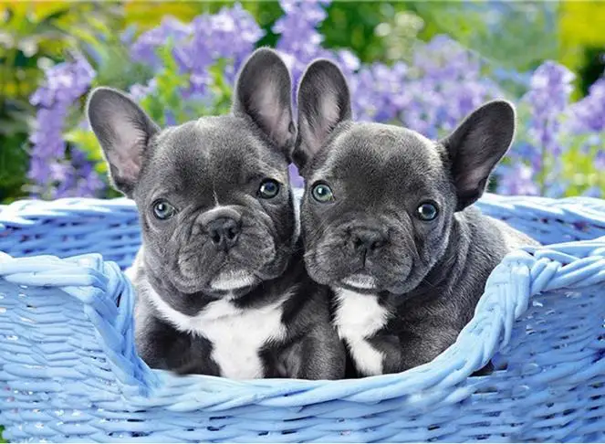 360截图20200401151216403