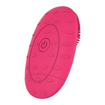 

Electric Facial Cleansing Brush Lansing Mini 2 Skin No Dead Corner Pore Dirts Cleanser Anti Aging Wrinkle Silicone Brush Foregoi