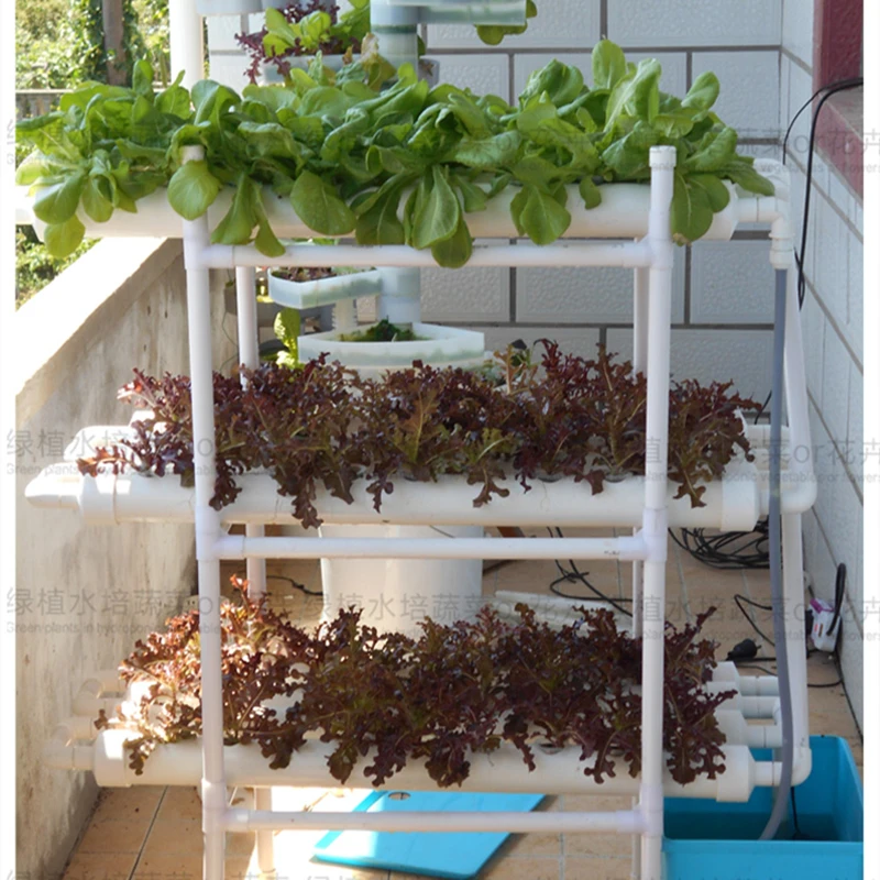 Planting In Pvc Pipes