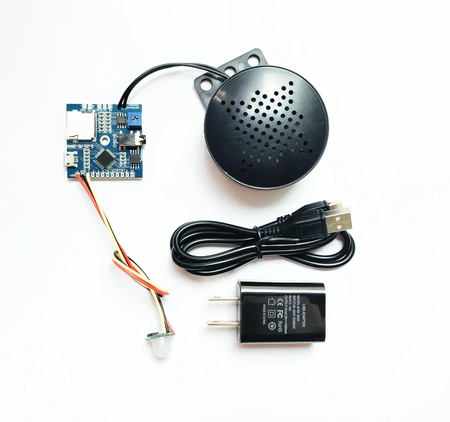 voice activated sound system