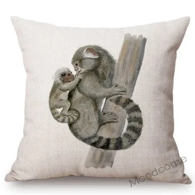 conew_t468 (7) 副本