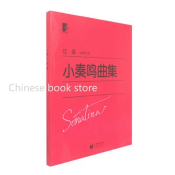 

Chinese music book: sonata work Collections Piano Sonatina Music Song textbook Chinese art book