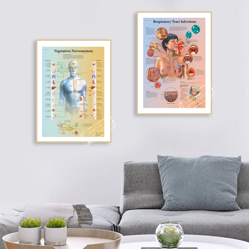 Anatomy Pathology Anatomical Poster Birth Control Chart Classic Canvas