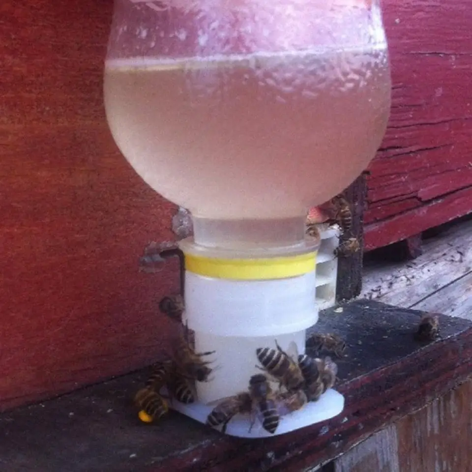 Bee Water Feeder Beehive Bee Feeder Beekeeping Water Dispenser Honey Feeder Honey Beehive Entrance Feeder Bee Drinking Honey Beekeeping Equipment