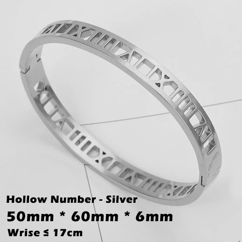 HN-Silver-6mm Трендовые Кристальные браслеты для женщин, серебряный, золотой, розовый браслет, титановые браслеты для любви, браслеты из нержавеющей стали, ювелирные изделия - Окраска металла: HN-Silver-6mm