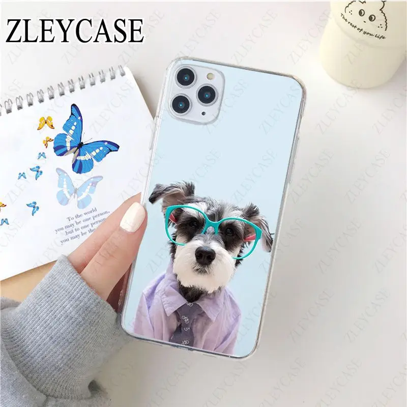 Miniature schnauzer puppy dog