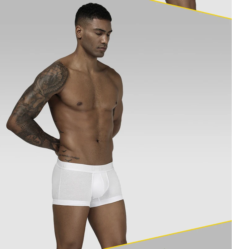 ORLVS Фирменное Сексуальное нижнее белье Мужчины Боксеры хлопок Cueca Masculina дышащие удобные трусы мужские трусы-боксеры шорты U Pouch