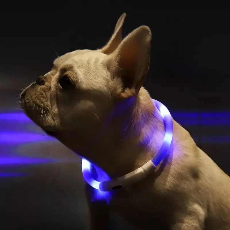 Xiaomi Pet свет воротник водонепроницаемый xl81-5001 анти-бирка на случай потери светодиодный Предупреждение освещение зарядка через usb ошейник для собаки